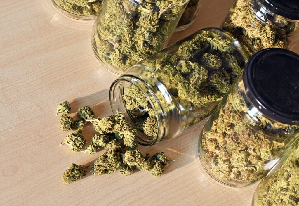 imageye imgi 258 dry and trimmed cannabis buds stored in a glas jar 2021 08 26 16 58 38 utc min 9a7913efe6