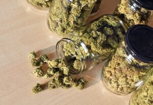 imageye imgi 258 dry and trimmed cannabis buds stored in a glas jar 2021 08 26 16 58 38 utc min 9a7913efe6