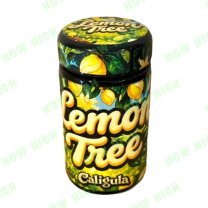 Lemon Tree by Caligula