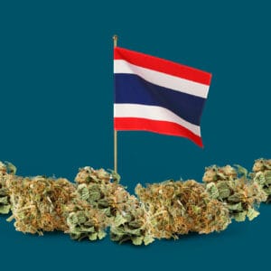 AHUGIPZNEZETJI4O64VBJOJXXU