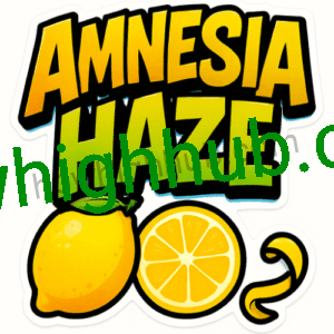 Amnesia Haze