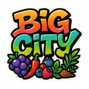 Big City