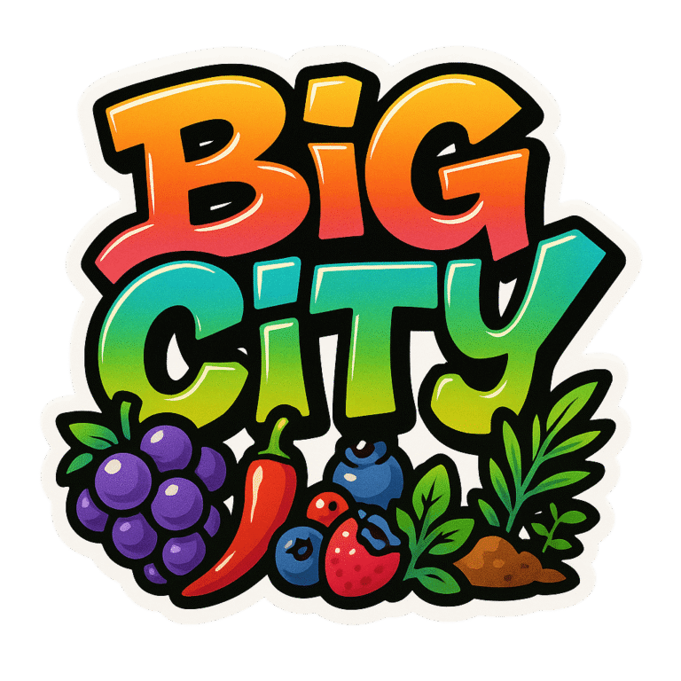 Big City