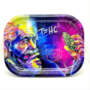 Tray Medium Size 300