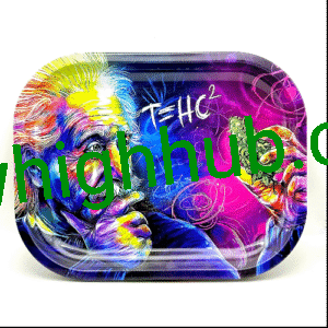 Tray Medium Size 300