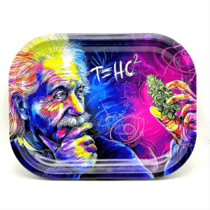 Tray Medium Size 300