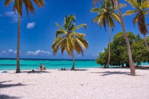 Palm-fringed tropical beach in Thailand