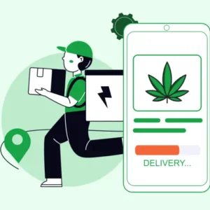 cannabis delivery app development a comprehensive guide 768x489
