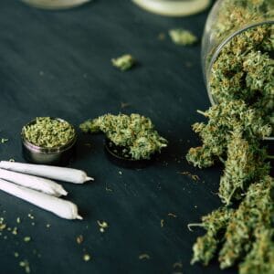 imageye imgi 252 top tips weed header shutterstock marijuana bud flowers cannabis grinder shredded 1071065351 scaled