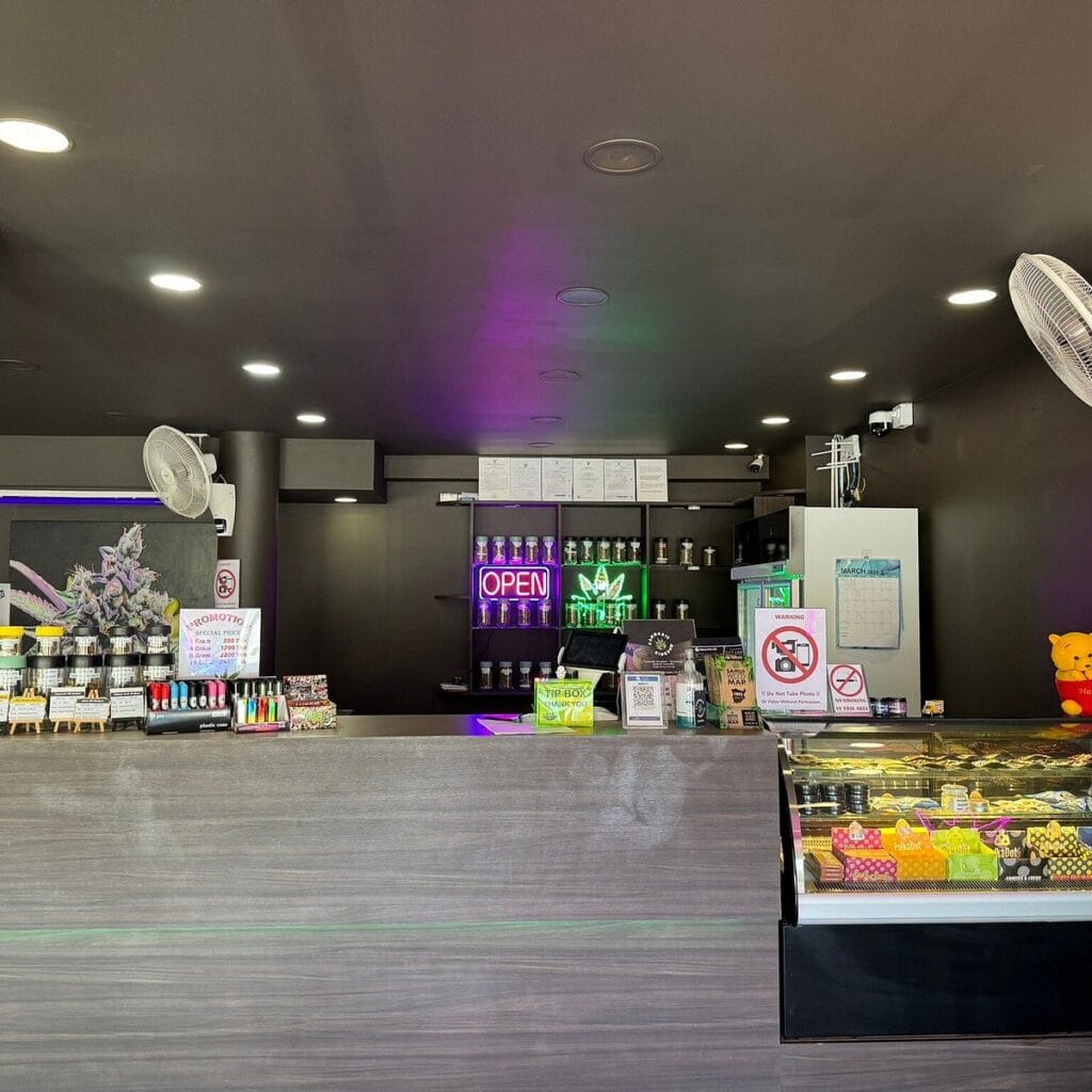 photos of cannabis kingdom